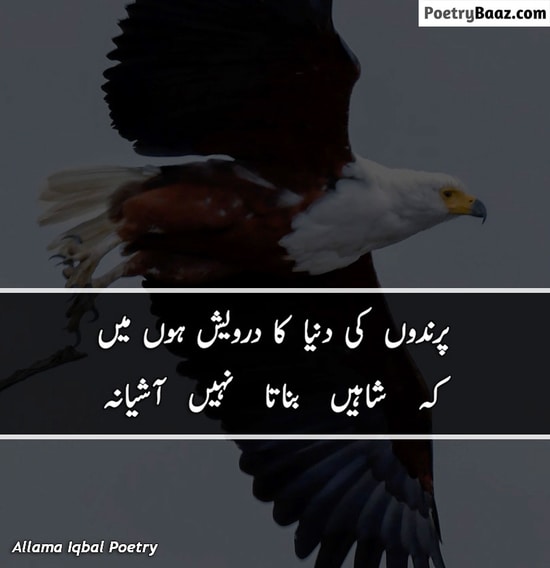 Iqbal Shaheen Poetry in Urdu