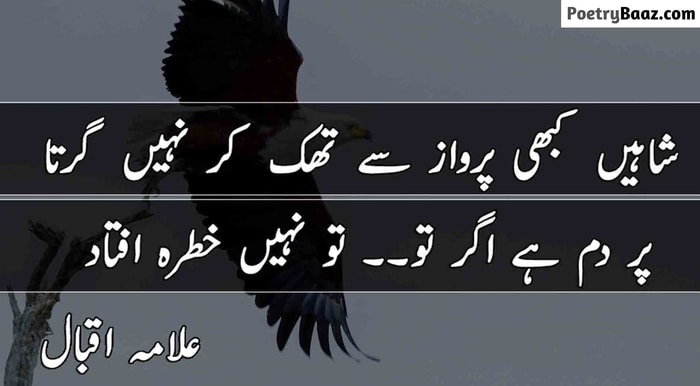 Allama Iqbal Shaheen Motivational Poetry for Students in Urdu