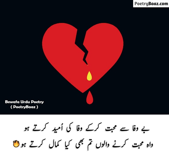 Sad Bewafa Urdu Poetry on Mohabbat 2 lines