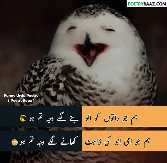 funny poetry in urdu for girlfriend