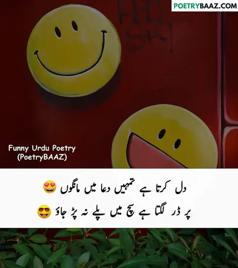 Funny Poetry in Urdu About Love 2 lines