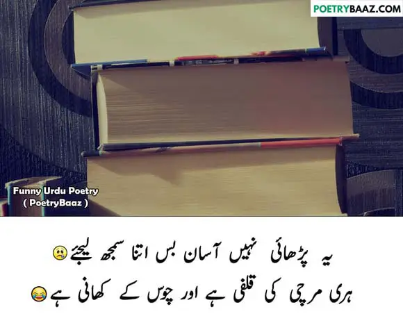 funny poetry on study in urdu