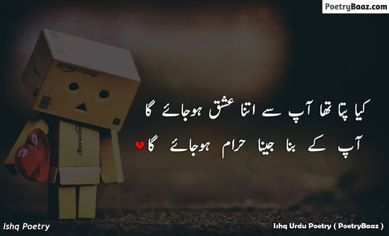 Sad Ishq Shayari in Urdu 2 lines