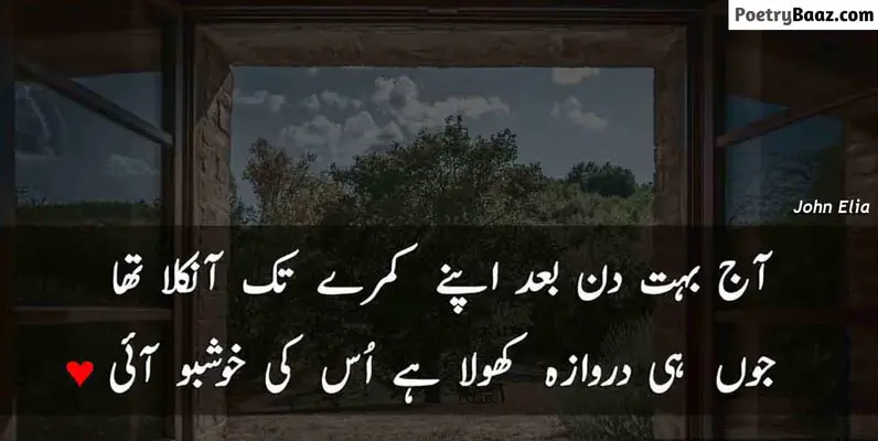 John Elia Love Poetry in Urdu 2 lines