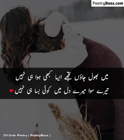 Love Poetry in Urdu About Dil 2 lines