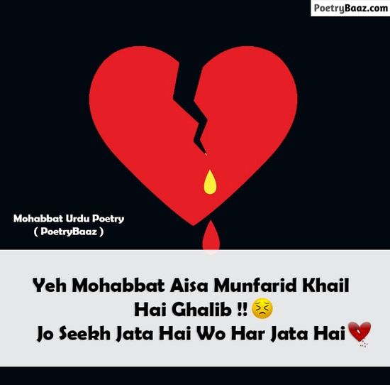 Mirza Ghalib Sad Mohabbat Poetry in Urdu
