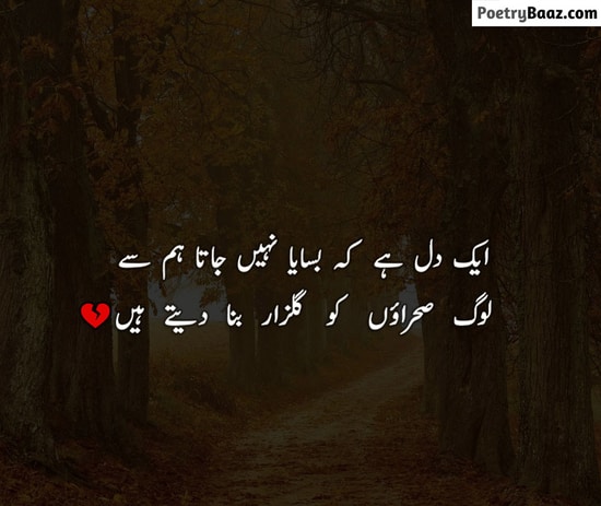 Mohsin Naqvi Sad Poetry About Dil in Urdu