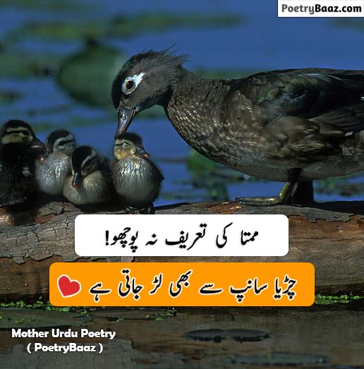 Best mother day poetry in urdu