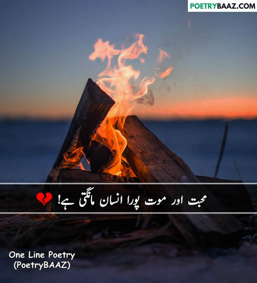 Heart Touching One Line Poetry About Mohabbat and Mout