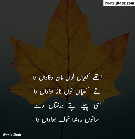 Waris Shah Punjabi Poetry in Urdu Text
