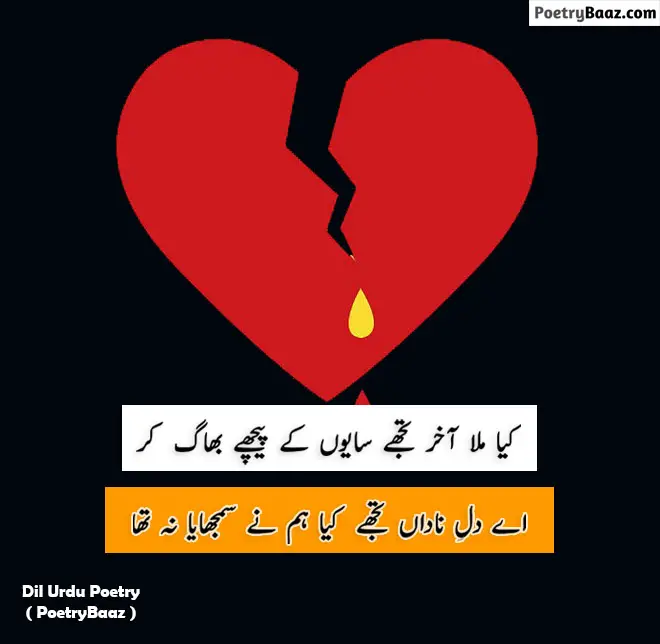 Sad Poetry in Urdu About Dil 2 lines