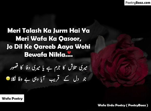Best Wafa Poetry in Urdu On Dil